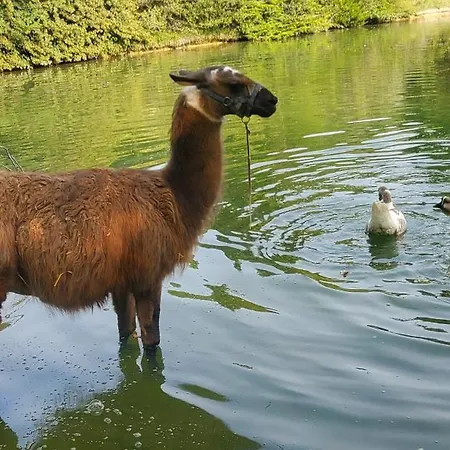 Tente de luxe Tipi Des Apaches Moulayres