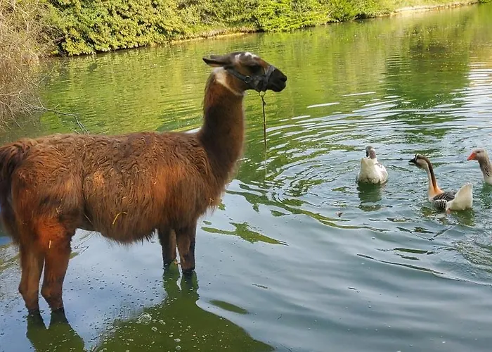 Tente de luxe Tipi Des Apaches Moulayres