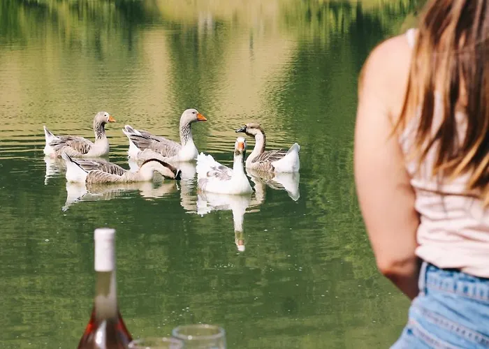 Tipi Des Apaches * Moulayres